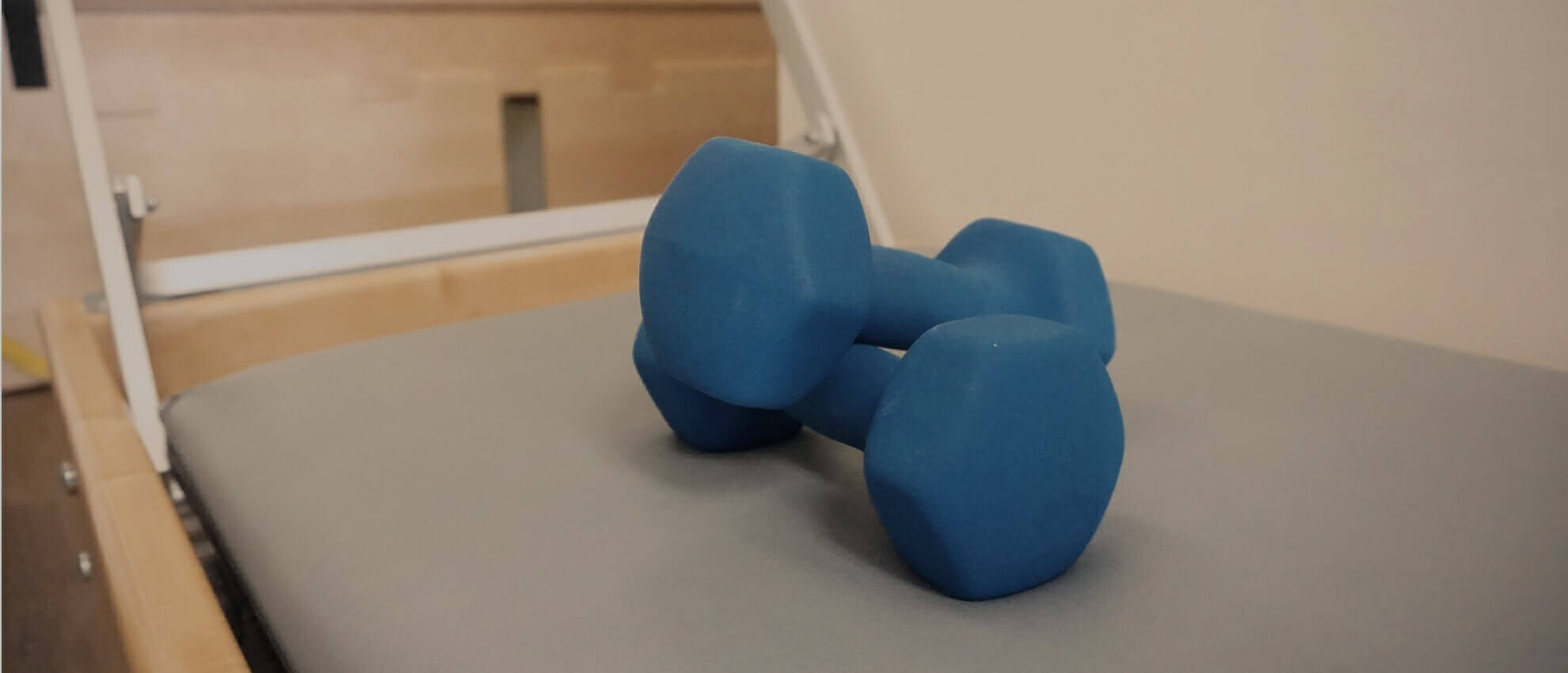 physio exercise rehab weights